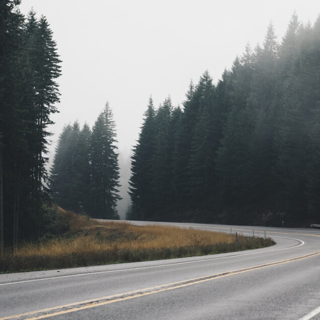 route sinueuse en forêt